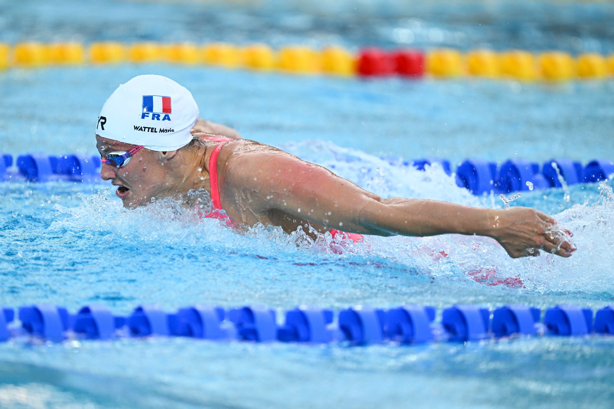 Championnats Du Monde De Natation lite Cercle Des Nageurs De Marseille